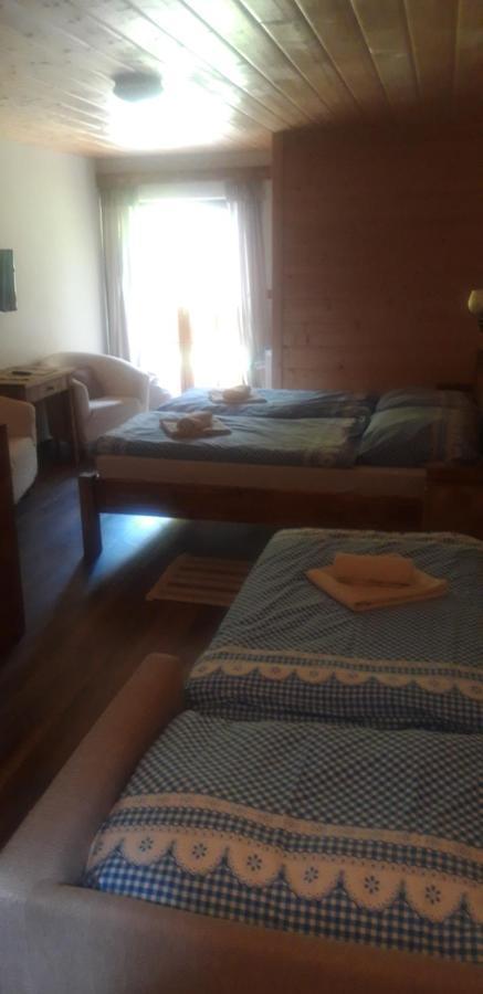 Rekreacny Dom - Chata Pod Lampasom Chalet